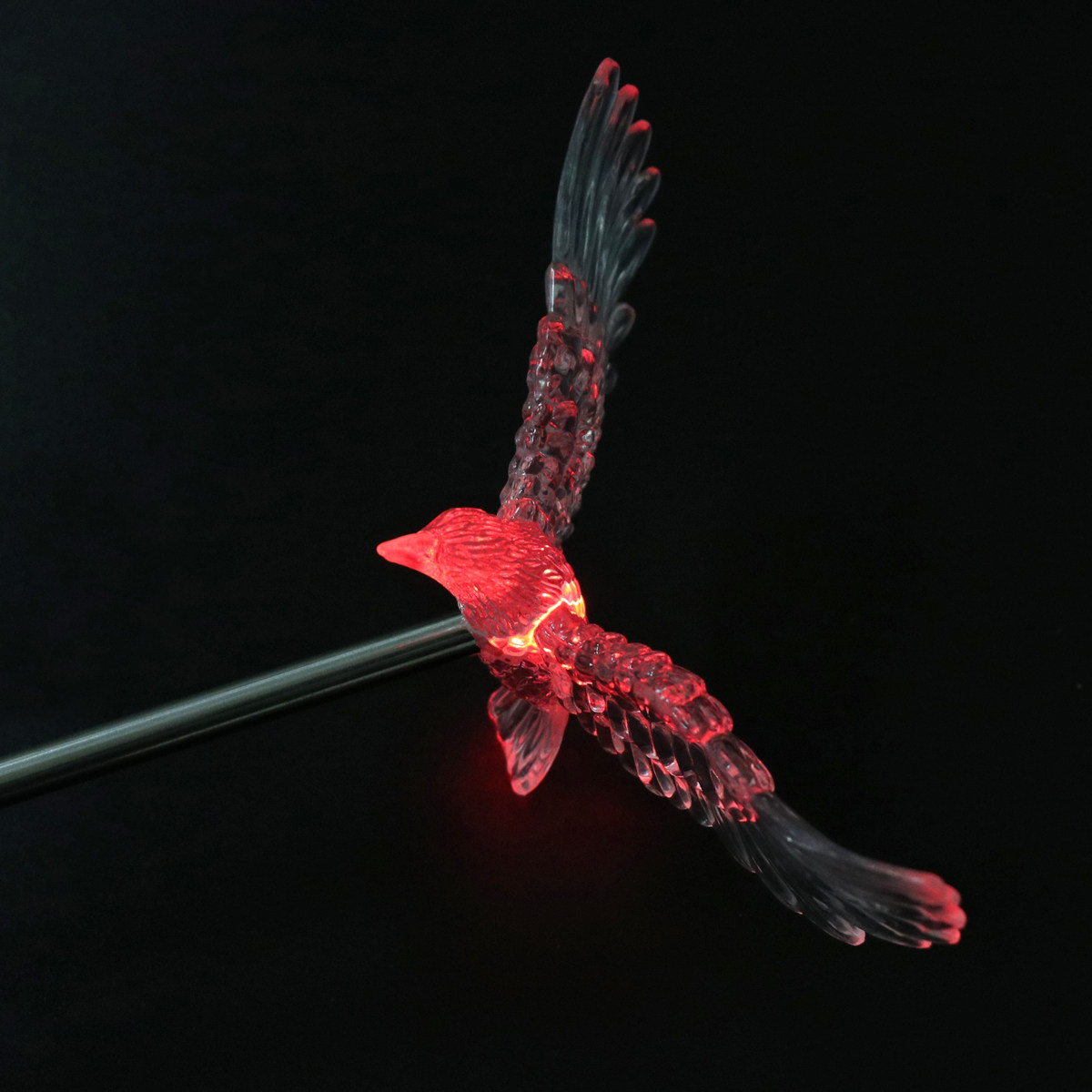 Solar Bird Garden Light IP65 W - огляд і ціна Pool Light Solar Rechargeable